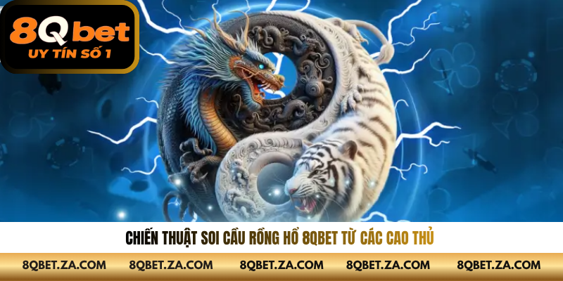 Chiến thuật soi cầu rồng hổ 8QBET từ các cao thủ 