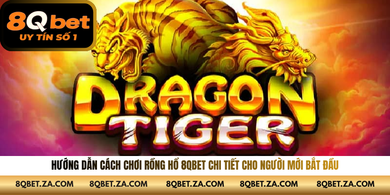 Hướng Dẫn Cách Chơi Rồng Hổ 8QBET Chi Tiết Cho Người Mới Bắt Đầu
